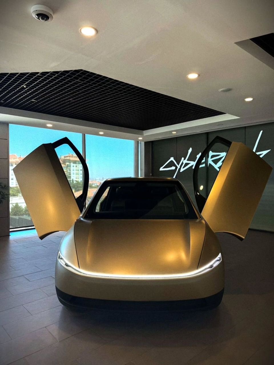 2026  Tesla Cyber-cab - View 2